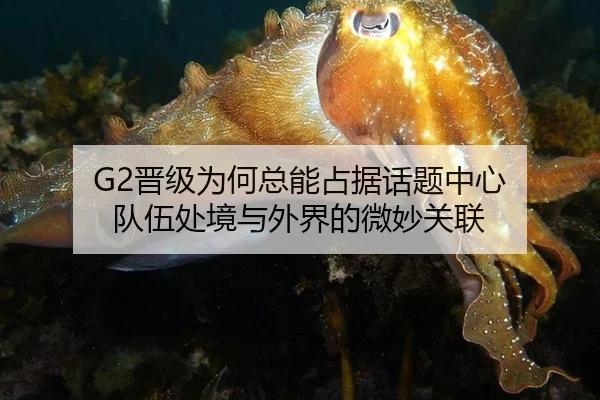 G2晋级为何总能占据话题中心 队伍处境与外界的微妙关联