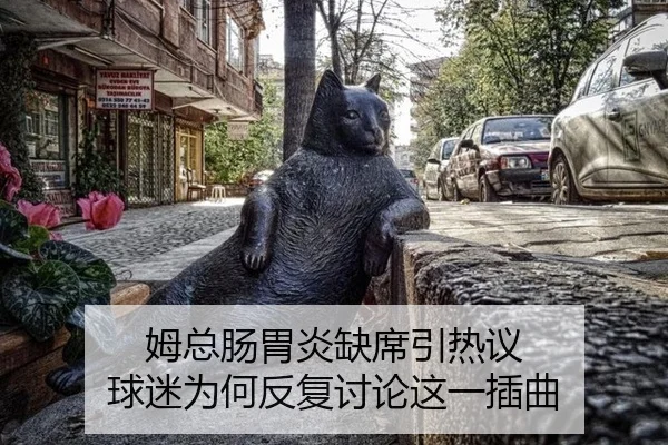 mu-zong-chang-wei-yan-que-xi-yin-re-yi-qiu-mi-wei-he-fan-fu-tao-lun-zhe-yi-cha-qu-2-610.jpg